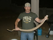Allstate Animal Control photo trapper with large snake